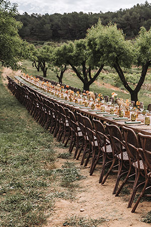 Vineyard